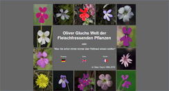 Desktop Screenshot of gluch.info