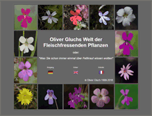 Tablet Screenshot of gluch.info